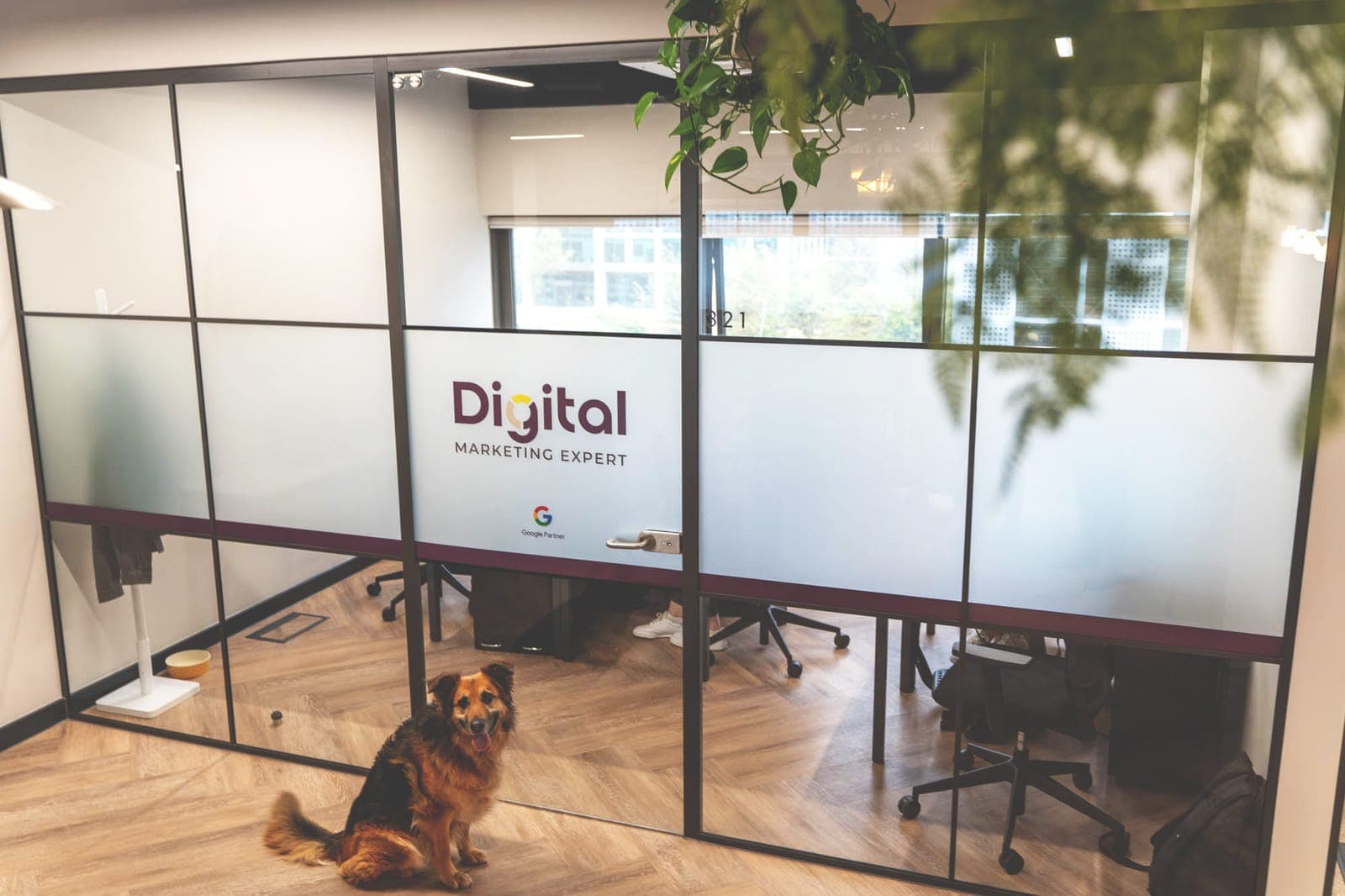The Digital Marketing Expert office in Harpenden, with the team dog sitting by the door