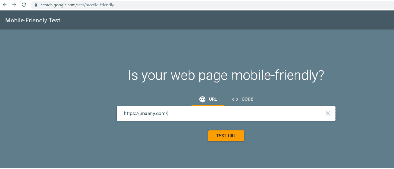 Google's Mobile-Friendly Test tool with a website URL entered and the Test URL button ready to run.
