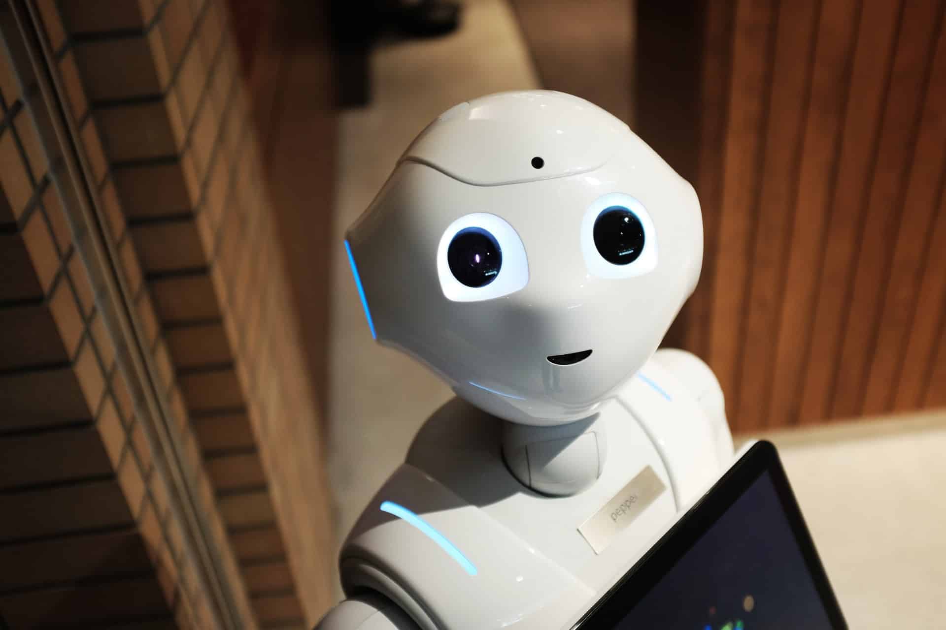 A white humanoid robot with large eyes holding a tablet on its chest.