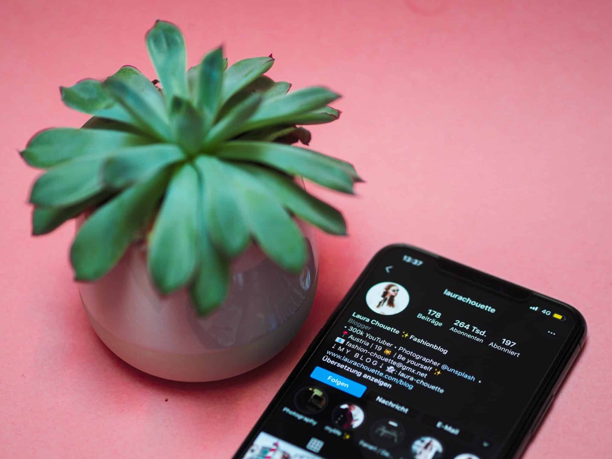 A phone showing an Instagram profile page, lying on a pink background beside a small succulent.