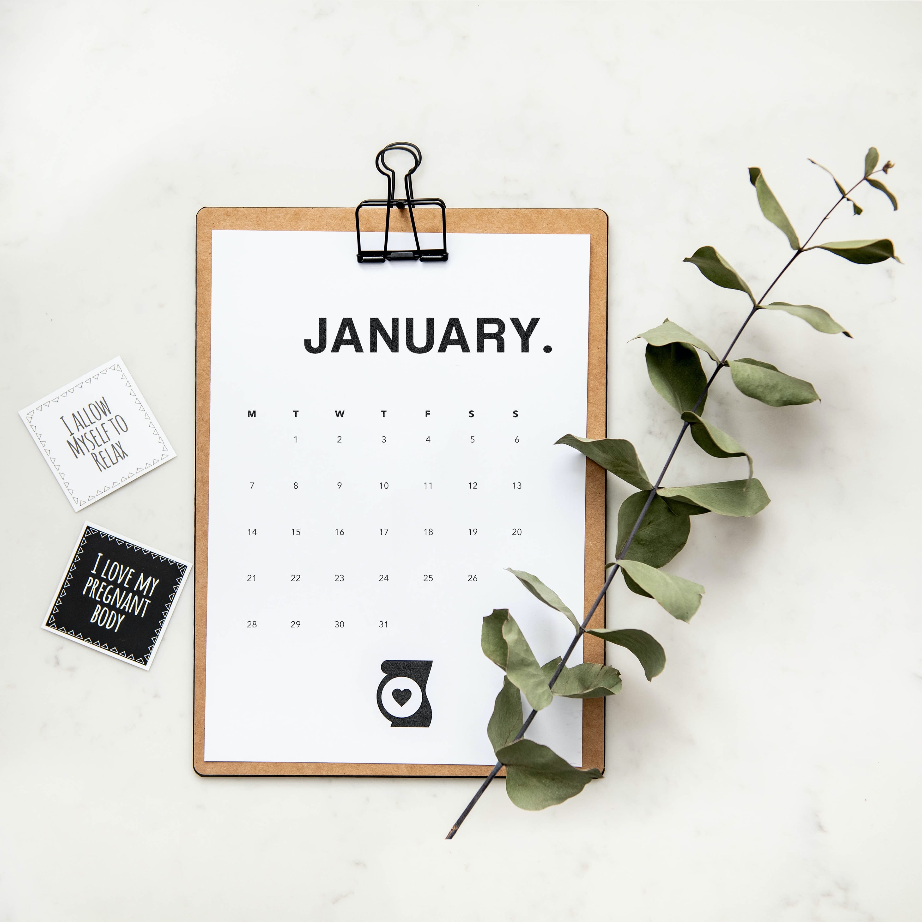 Organisation Checklist for 2023