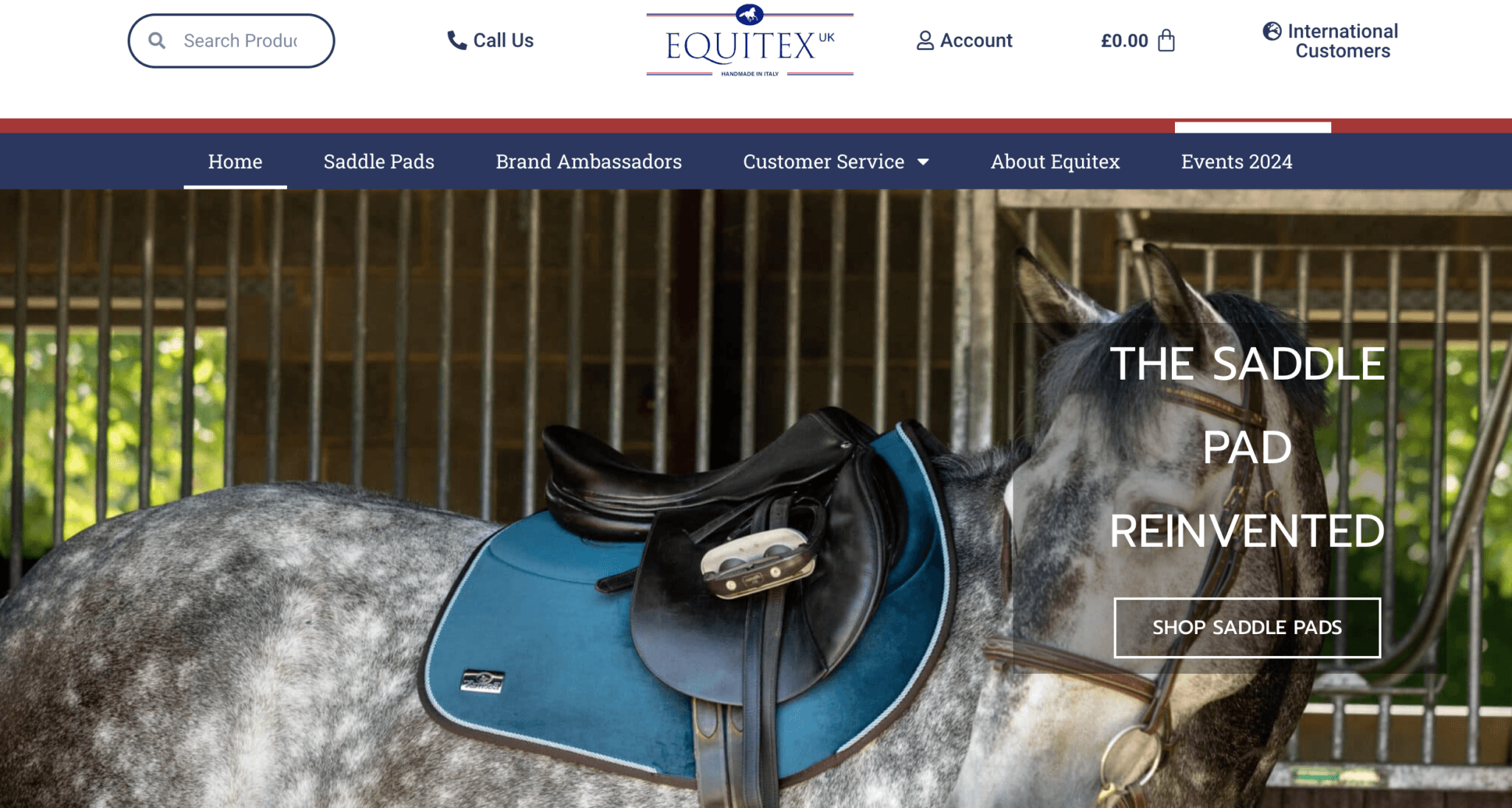 The Equitex website homepage, headed The Saddle Pad Reinvented, showing a dapple grey horse wearing a blue saddle pad.